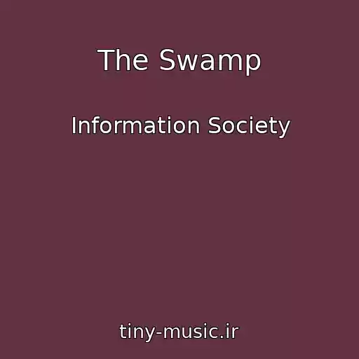 کاور آهنگ The Swamp از Information Society
