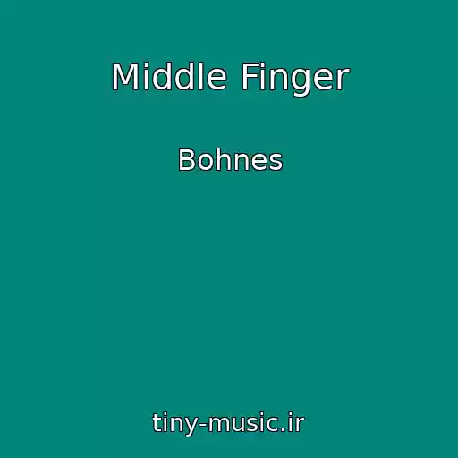 کاور آهنگ Middle Finger از Bohnes