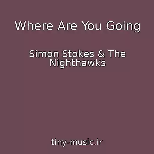 کاور آهنگ Where Are You Going از Simon Stokes & The Nighthawks
