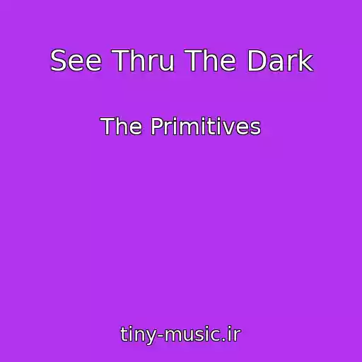 کاور آهنگ See Thru The Dark از The Primitives