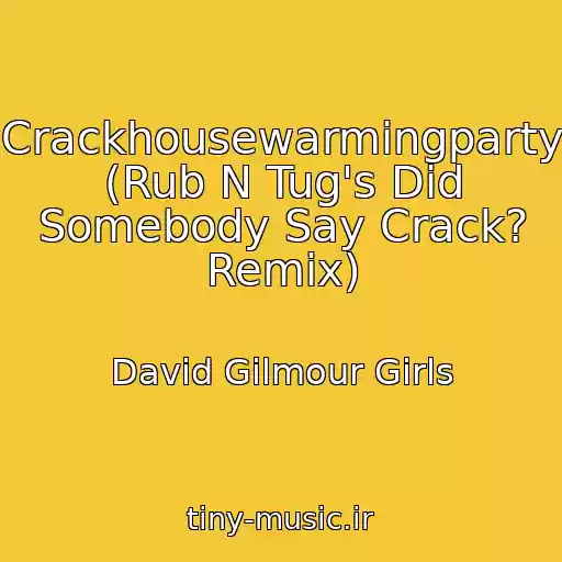 کاور آهنگ Crackhousewarmingparty (Rub N Tug's Did Somebody Say Crack? Remix) از David Gilmour Girls