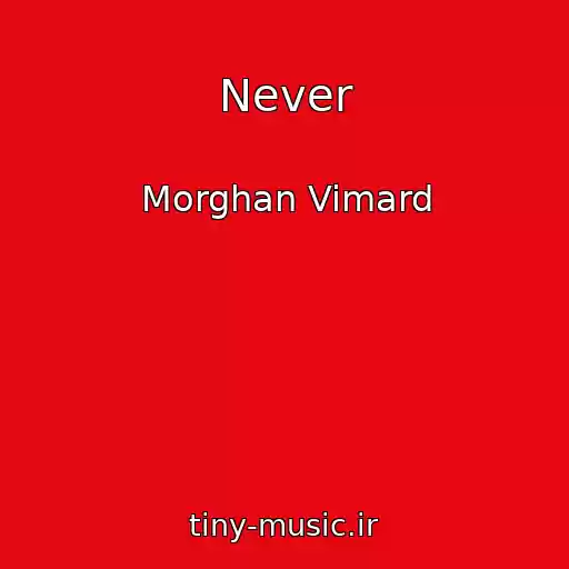 کاور آهنگ Never از Morghan Vimard