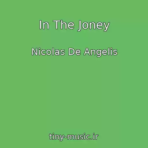 کاور آهنگ In The Joney از Nicolas De Angelis