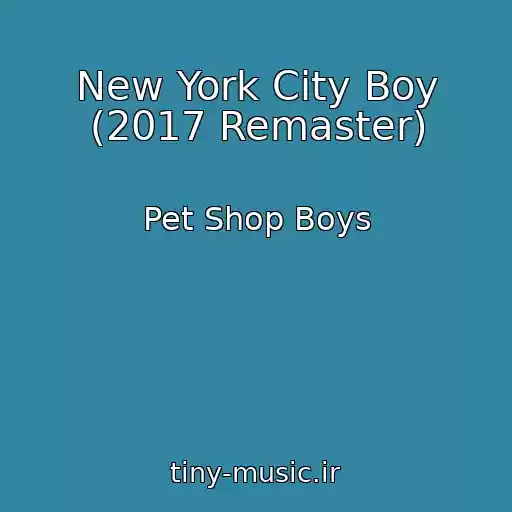 کاور آهنگ New York City Boy (2017 Remaster) از Pet Shop Boys