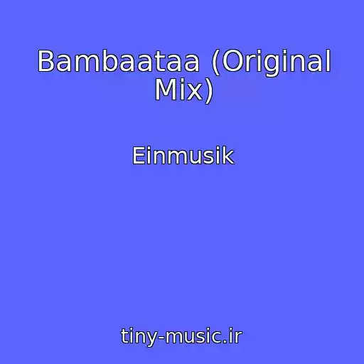 کاور آهنگ Bambaataa (Original Mix) از Einmusik
