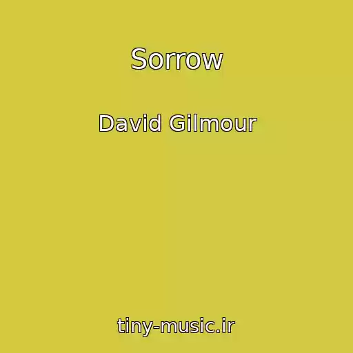 کاور آهنگ Sorrow از David Gilmour