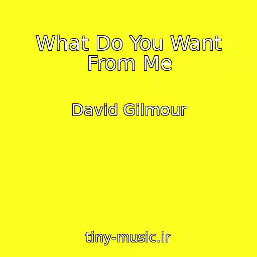 کاور آهنگ What Do You Want From Me از David Gilmour