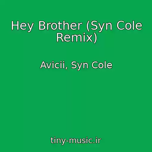 کاور آهنگ Hey Brother (Syn Cole Remix) از Avicii, Syn Cole