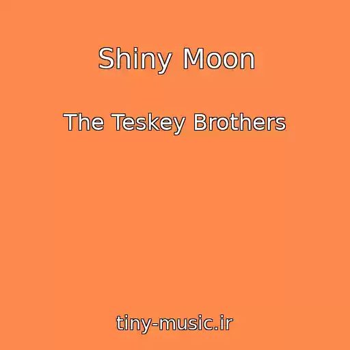 کاور آهنگ Shiny Moon از The Teskey Brothers