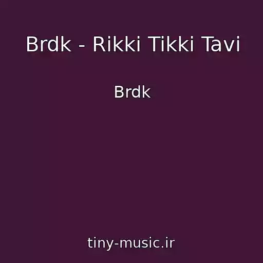 کاور آهنگ Brdk - Rikki Tikki Tavi از Brdk