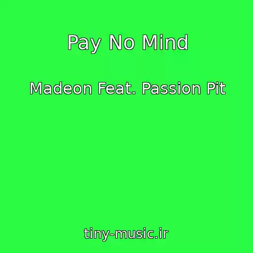 کاور آهنگ Pay No Mind از Madeon Feat. Passion Pit
