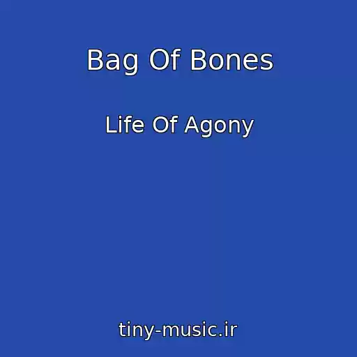 کاور آهنگ Bag Of Bones از Life Of Agony