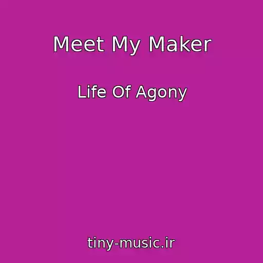 کاور آهنگ Meet My Maker از Life Of Agony