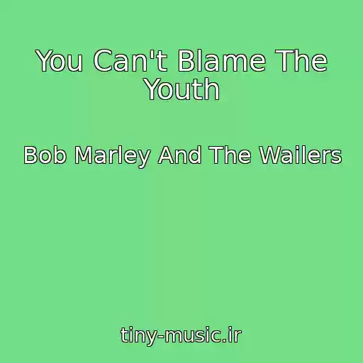 کاور آهنگ You Can't Blame The Youth از Bob Marley And The Wailers
