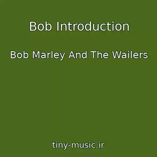 کاور آهنگ Bob Introduction از Bob Marley And The Wailers