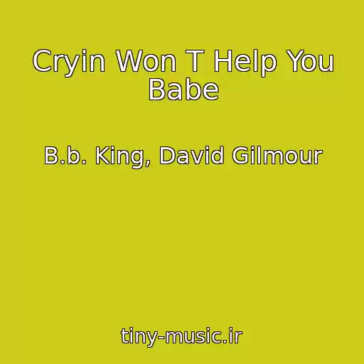کاور آهنگ Cryin Won T Help You Babe از B.b. King, David Gilmour