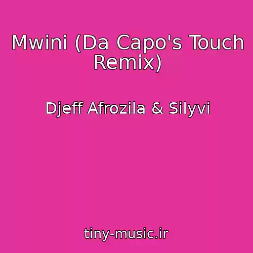 کاور آهنگ Mwini (Da Capo's Touch Remix) از Djeff Afrozila & Silyvi