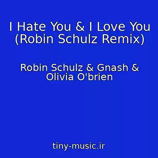 کاور آهنگ I Hate You & I Love You (Robin Schulz Remix) از Robin Schulz & Gnash & Olivia O'brien