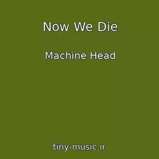 کاور آهنگ Now We Die از Machine Head