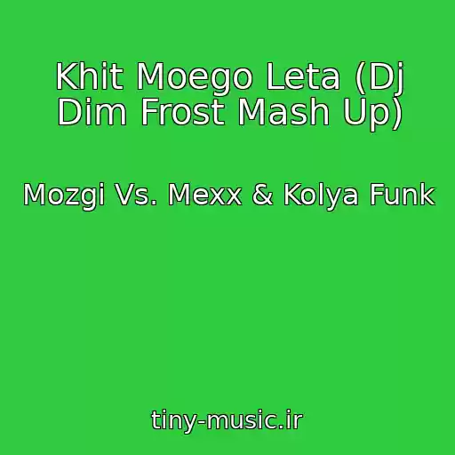کاور آهنگ Khit Moego Leta (Dj Dim Frost Mash Up) از Mozgi Vs. Mexx & Kolya Funk