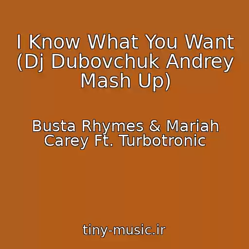 کاور آهنگ I Know What You Want (Dj Dubovchuk Andrey Mash Up) از Busta Rhymes & Mariah Carey Ft. Turbotronic