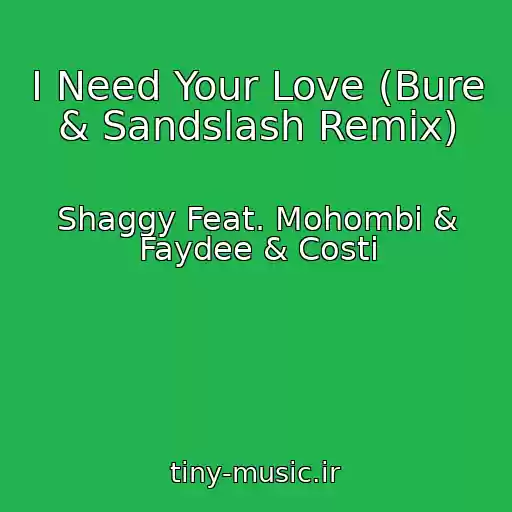 کاور آهنگ I Need Your Love (Bure & Sandslash Remix) از Shaggy Feat. Mohombi & Faydee & Costi