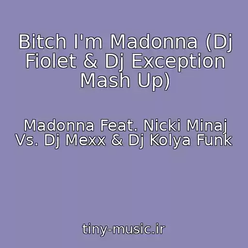 کاور آهنگ Bitch I'm Madonna (Dj Fiolet & Dj Exception Mash Up) از Madonna Feat. Nicki Minaj Vs. Dj Mexx & Dj Kolya Funk