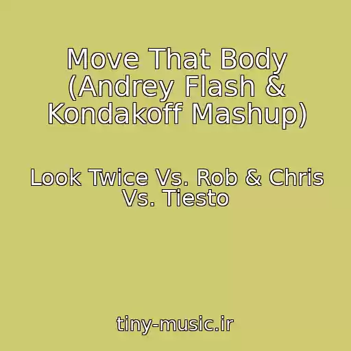 کاور آهنگ Move That Body (Andrey Flash & Kondakoff Mashup) از Look Twice Vs. Rob & Chris Vs. Tiesto