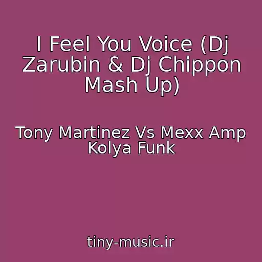 کاور آهنگ I Feel You Voice (Dj Zarubin & Dj Chippon Mash Up) از Tony Martinez Vs Mexx Amp Kolya Funk