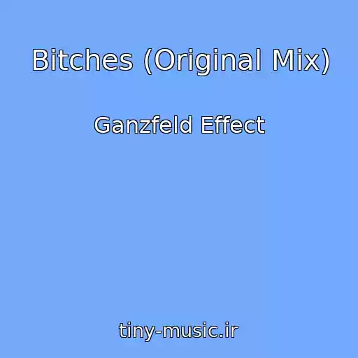 کاور آهنگ Bitches (Original Mix) از Ganzfeld Effect