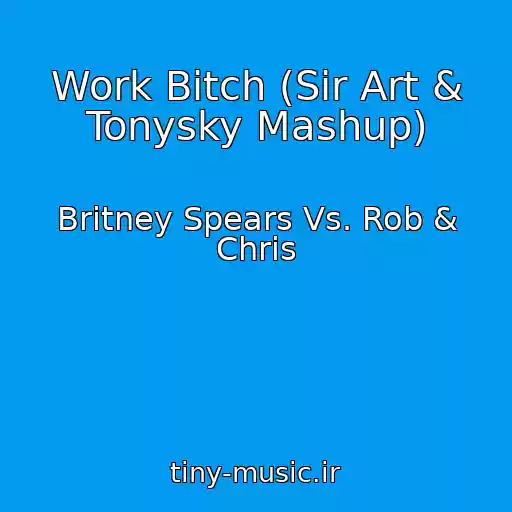 کاور آهنگ Work Bitch (Sir Art & Tonysky Mashup) از Britney Spears Vs. Rob & Chris