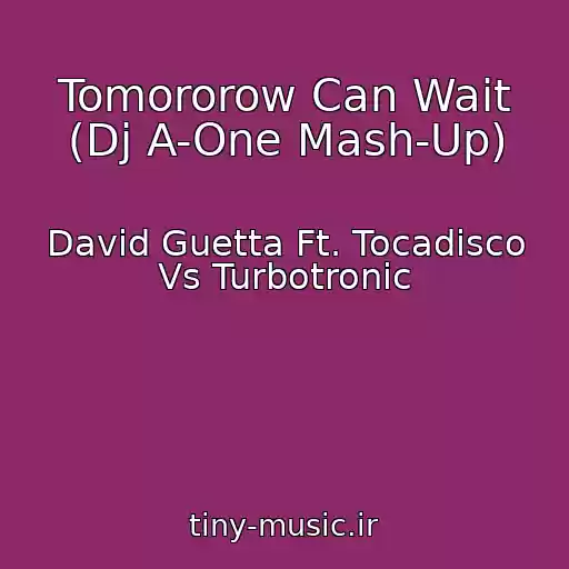 کاور آهنگ Tomororow Can Wait (Dj A-One Mash-Up) از David Guetta Ft. Tocadisco Vs Turbotronic
