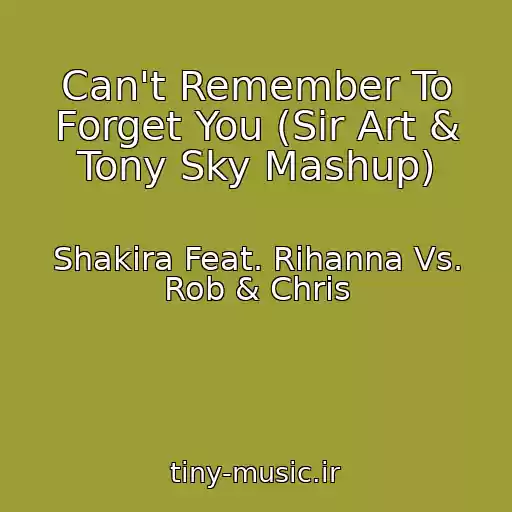 کاور آهنگ Can't Remember To Forget You (Sir Art & Tony Sky Mashup) از Shakira Feat. Rihanna Vs. Rob & Chris