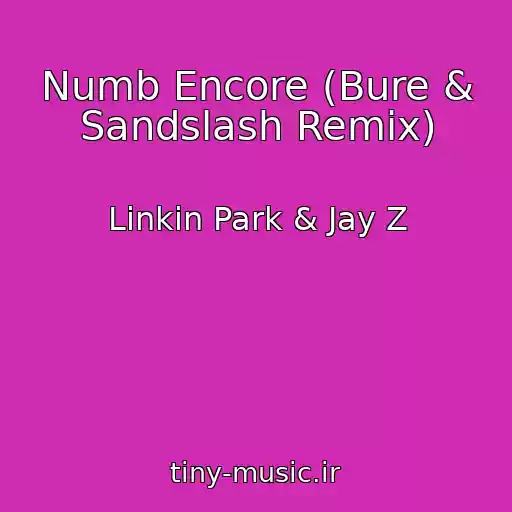 کاور آهنگ Numb Encore (Bure & Sandslash Remix) از Linkin Park & Jay Z