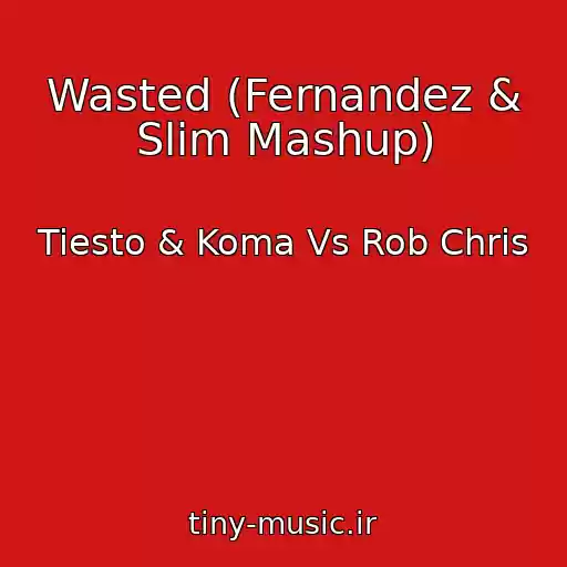 کاور آهنگ Wasted (Fernandez & Slim Mashup) از Tiesto & Koma Vs Rob Chris