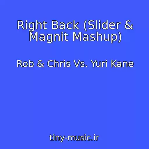 کاور آهنگ Right Back (Slider & Magnit Mashup) از Rob & Chris Vs. Yuri Kane