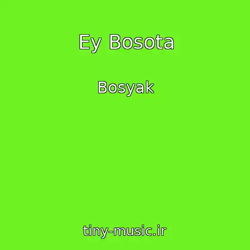 کاور آهنگ Ey Bosota از Bosyak