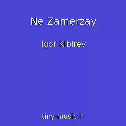 کاور آهنگ Ne Zamerzay از Igor Kibirev