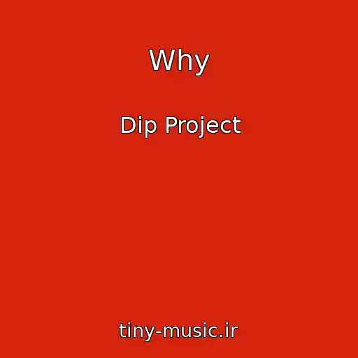 کاور آهنگ Why از Dip Project