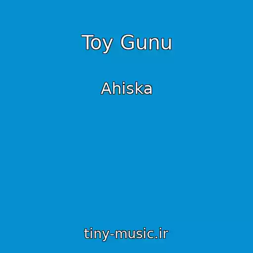 کاور آهنگ Toy Gunu از Ahiska