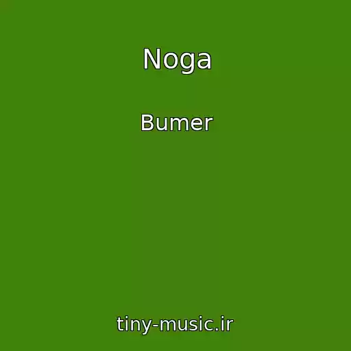 کاور آهنگ Noga از Bumer