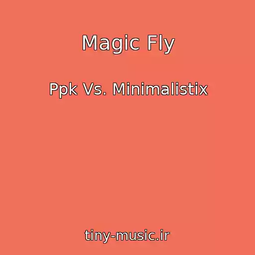 کاور آهنگ Magic Fly از Ppk Vs. Minimalistix