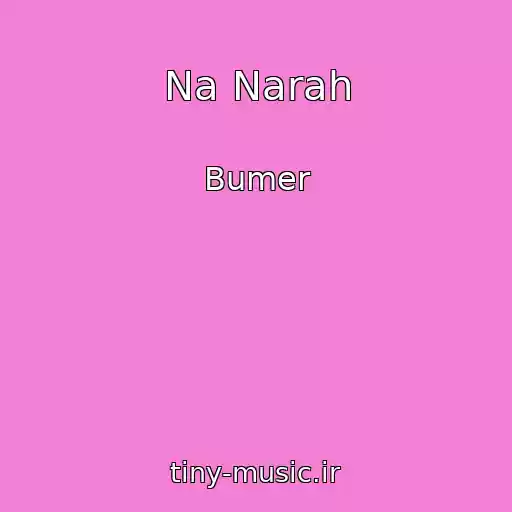 کاور آهنگ Na Narah از Bumer