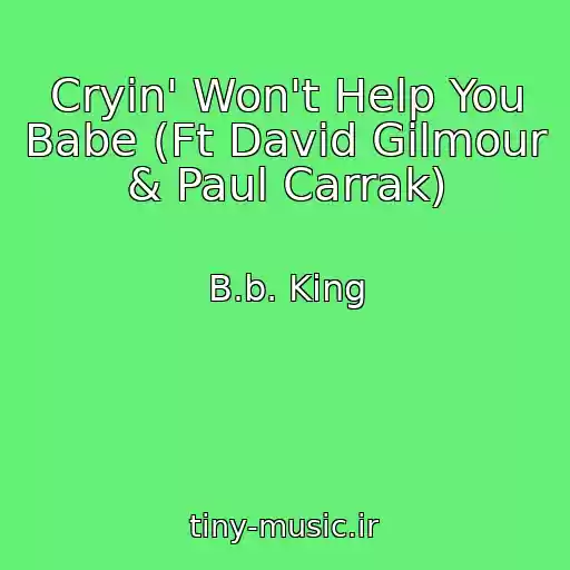 کاور آهنگ Cryin' Won't Help You Babe (Ft David Gilmour & Paul Carrak) از B.b. King