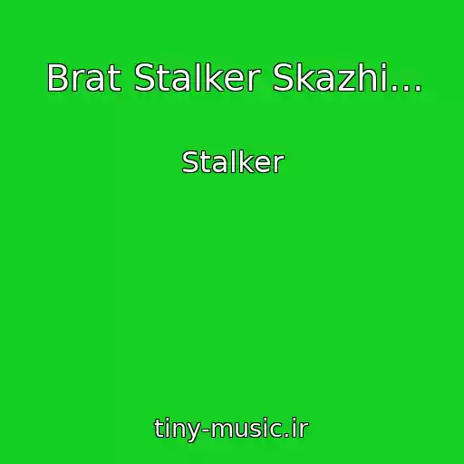 کاور آهنگ Brat Stalker Skazhi... از Stalker