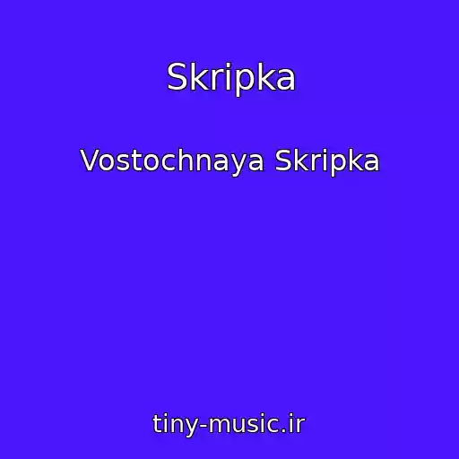 کاور آهنگ Skripka از Vostochnaya Skripka