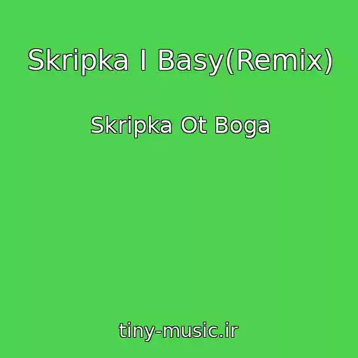 کاور آهنگ Skripka I Basy(Remix) از Skripka Ot Boga