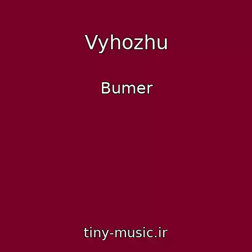 کاور آهنگ Vyhozhu از Bumer