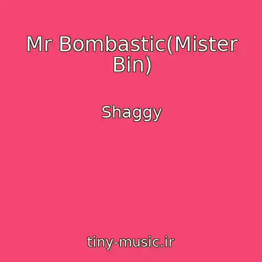 کاور آهنگ Mr Bombastic(Mister Bin) از Shaggy