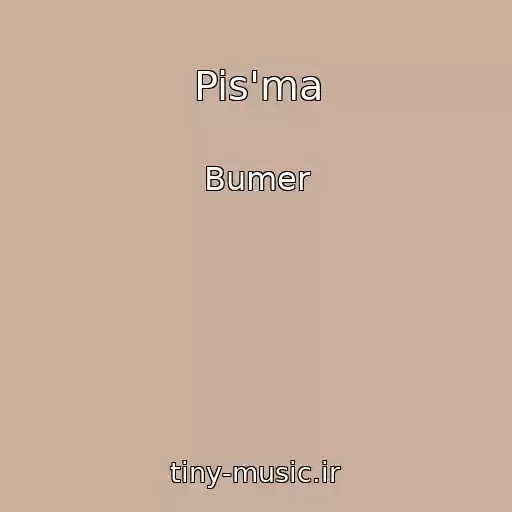 کاور آهنگ Pis'ma از Bumer